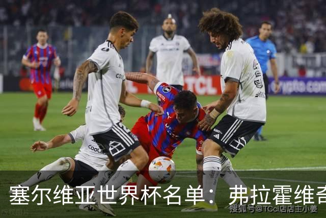 塞尔维亚世界杯名单：弗拉霍维奇领衔 古德利在列