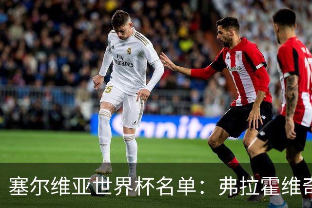 塞尔维亚世界杯名单：弗拉霍维奇领衔 古德利在列